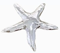 Silver Star