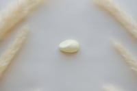 مجموعة من 6 مغناطيس سيراميك بتصميم احجار