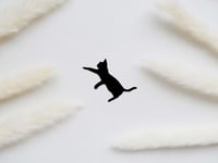 ملصق قط كوكو