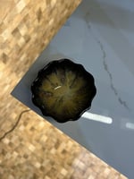 كوب قهوة صغير