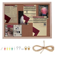 بورد التحقيق