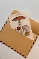 كرت مع ظرف - مقاس كبير