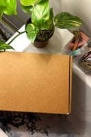 بوكس القراءة