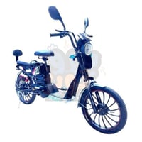 دراجة مقاس 20 بقوة 48V المطورة 500W