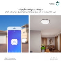 الفيش الذكي