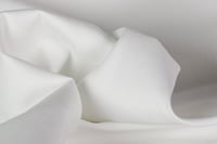 ياباني واقف