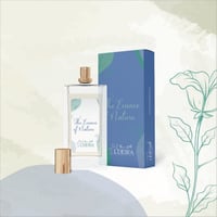 عود الأمراء | Elite Princes