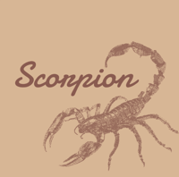 store avatar