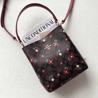 كوتش ميني باق