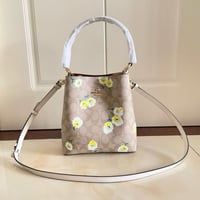 كوتش ميني باق