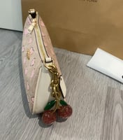 كوتش تيري شولدر باق