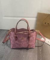 كوتش مولي بينك