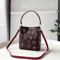 كوتش ميني باق