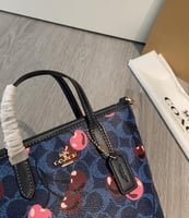 كوتش ميني سيتي