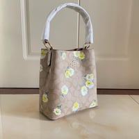 كوتش ميني باق