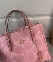 كوتش مولي بينك