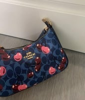 كوتش تيري تشيري شولدر باق