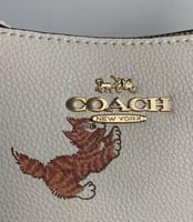 كوتش كات شولدر باق