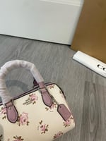 كوتش ميني رووان