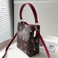 كوتش ميني باق