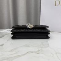 ديور توب هاندل باق