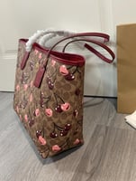 كوتش توت باق