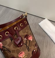 كوتش ميني بوكيت