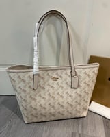 كوتش توت باق