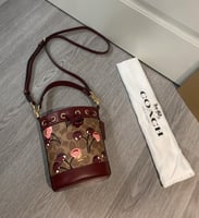 كوتش ميني بوكيت