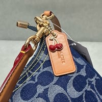 كوتش تيري شولدر باق