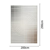 200X290