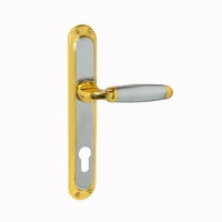 لون الذهب + كروم لماع