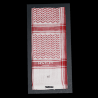 عرض اليوم الوطني