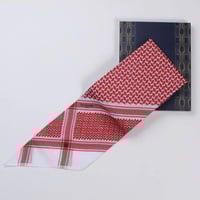 عرض اليوم الوطني