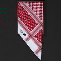 شماغ امبريو زانيتي بلاتينيوم إصدار خاص EMPORIO SE2