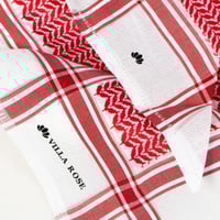 عرض اليوم الوطني