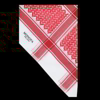 عرض اليوم الوطني