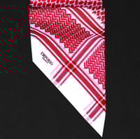 عرض اليوم الوطني ( الانجليزي )