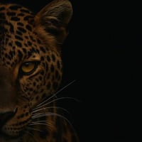 علامات كشفت تخفي العارض