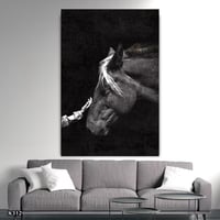 لوحة كانفس خيل