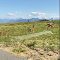 ايمو - كاميرا مراقبة ( Cell PT Wi-Fi6 ) K3 بالطاقة...