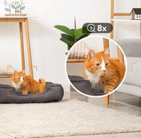 ايمو - كاميرا مراقبه Rex 3D (5MP) داخلية 360 درجة