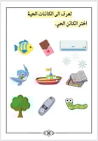 أنشطة متنوعه ( العب وتعلم)