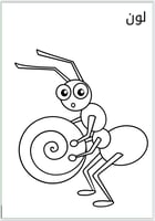 أنشطة وحدة الحيوانات