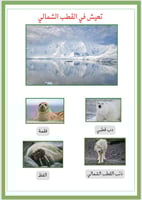 أنشطة وحدة الحيوانات