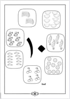 أنشطة متنوعه ( العب وتعلم)
