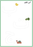 أنشطة وحدة الحيوانات