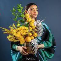 Summer Paradise جنة الصيف