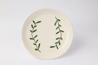 طبق مورينغا المتوسط