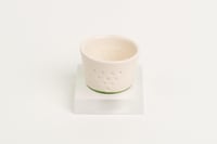 فنجان نجد - أخضر